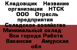 Кладовщик › Название организации ­ НТСК, ООО › Отрасль предприятия ­ Складское хозяйство › Минимальный оклад ­ 1 - Все города Работа » Вакансии   . Амурская обл.